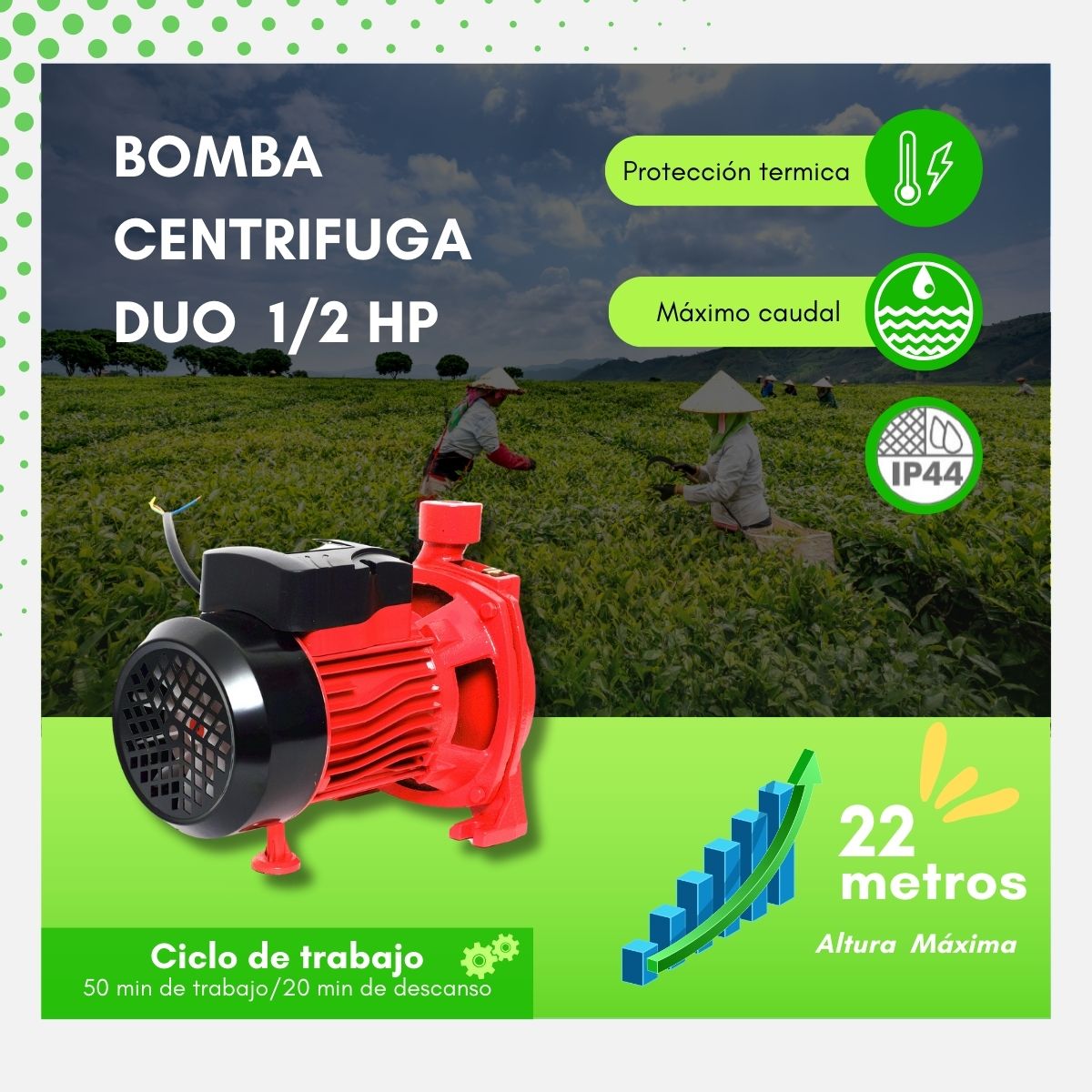 BOMBA CENTRÍFUGA DUO ½ HP 127 V - CPM130 D