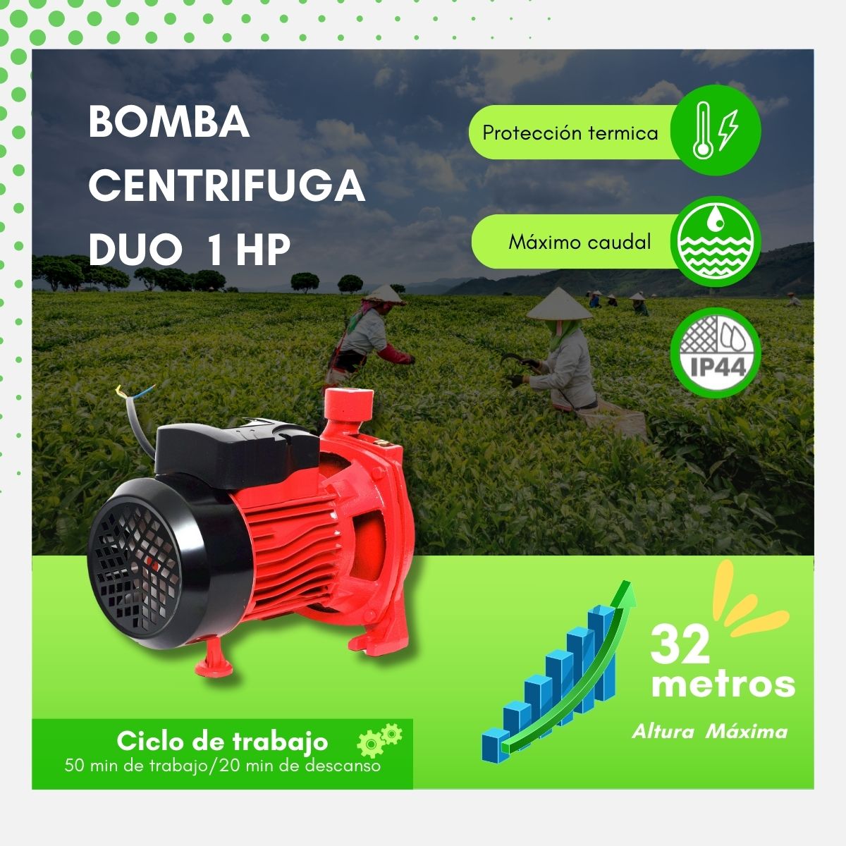 Bomba De Agua Centrifuga Duo 1hp Alto Caudal Igoto Promo